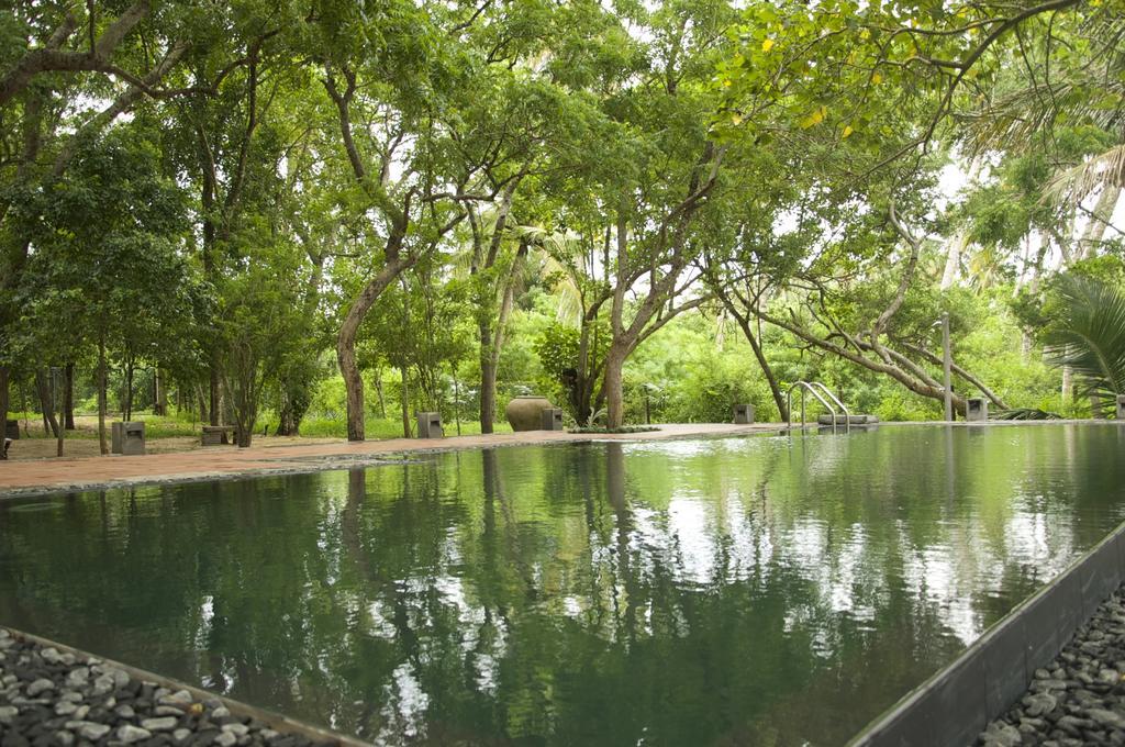 טנגלה Lagoon House Rekawa מראה חיצוני תמונה