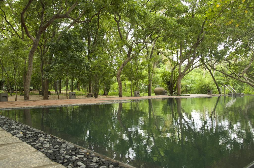 טנגלה Lagoon House Rekawa מראה חיצוני תמונה
