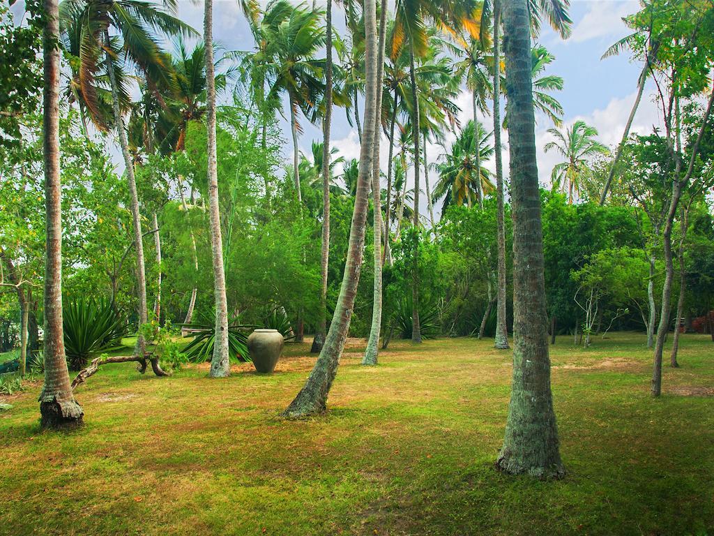 טנגלה Lagoon House Rekawa מראה חיצוני תמונה